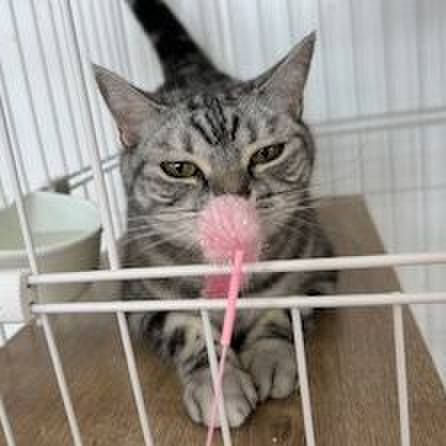 82c05543 ff1c 42ff a7ea 93c23b70be58 1723113998982