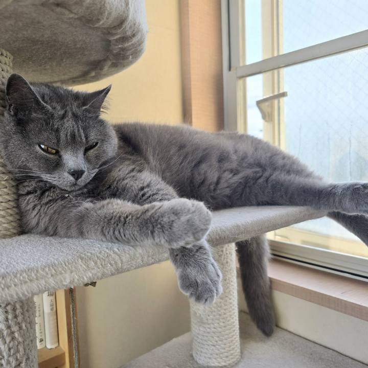 82c096e3 36d0 4cf7 9b13 d39333fc66c4 1748414135789