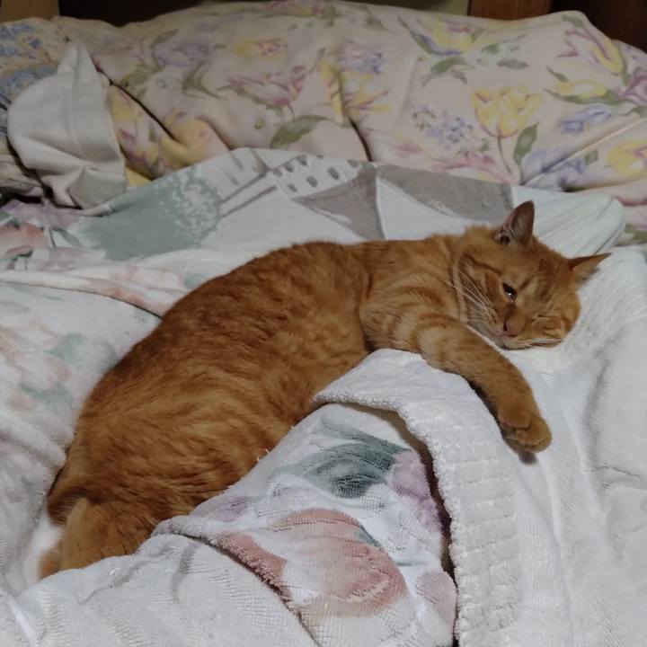 82c0ac33 b39a 4a42 8053 ee8cfcf7606b 1693832317419