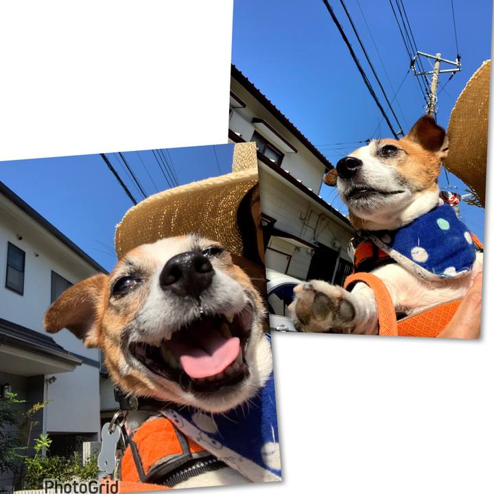 82c0b3e1 97f1 480c b934 f41eafbde743 1692503311430