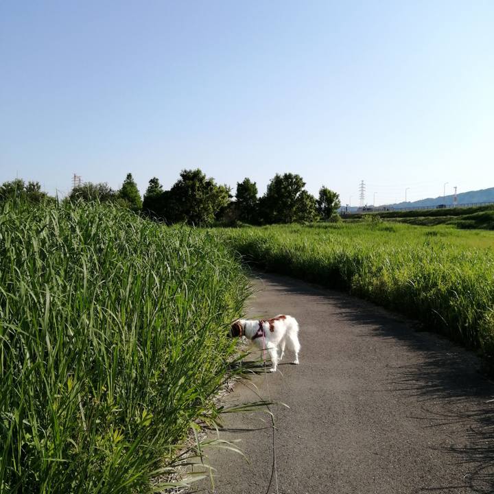 82c0bb92 a684 4fc5 9222 d79b6947a416 1590708599545