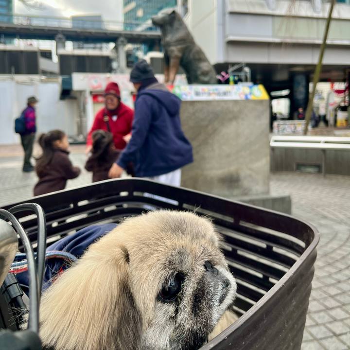 82c0dcd2 ba80 4948 af93 12d5f61625ac 1763855893435