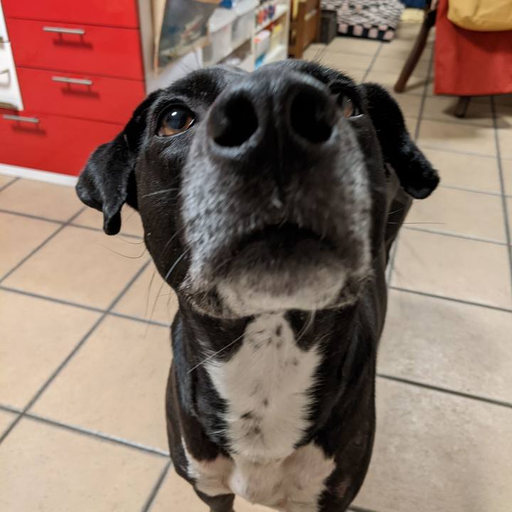 82c0ead8 d6db 4b44 b901 79642e558da6 1642243459638