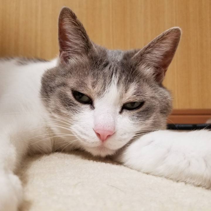 82c11951 39de 4cfb 8f74 08d06a286976 1641821019241