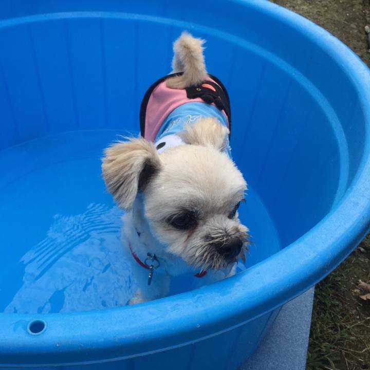 82c12bfa 8913 4709 bb19 d97b886508a8 1537602627910