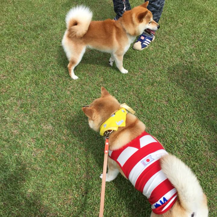 82c14f06 75b1 46de 9b5a e0bbdcb3c12d 1559956651294