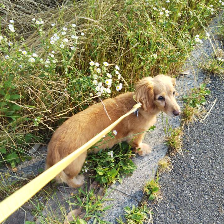 82c15bcd c768 4d45 8b5a a35b61f87ae7 1624528341093