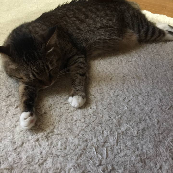 82c1abde 7165 438d 8afe eaea0b0f6f62 1524893997860