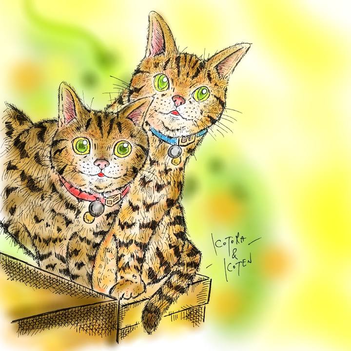 82c1adfd 64e0 4516 922e bbc419e81eff 1581261014027