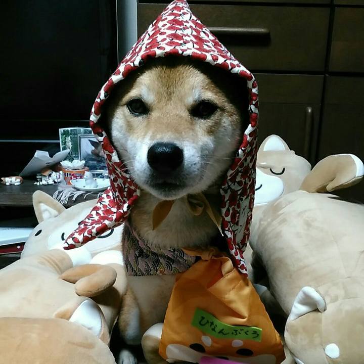 82c1c1cf cac8 45c1 8369 4df03348815a 1535876269531