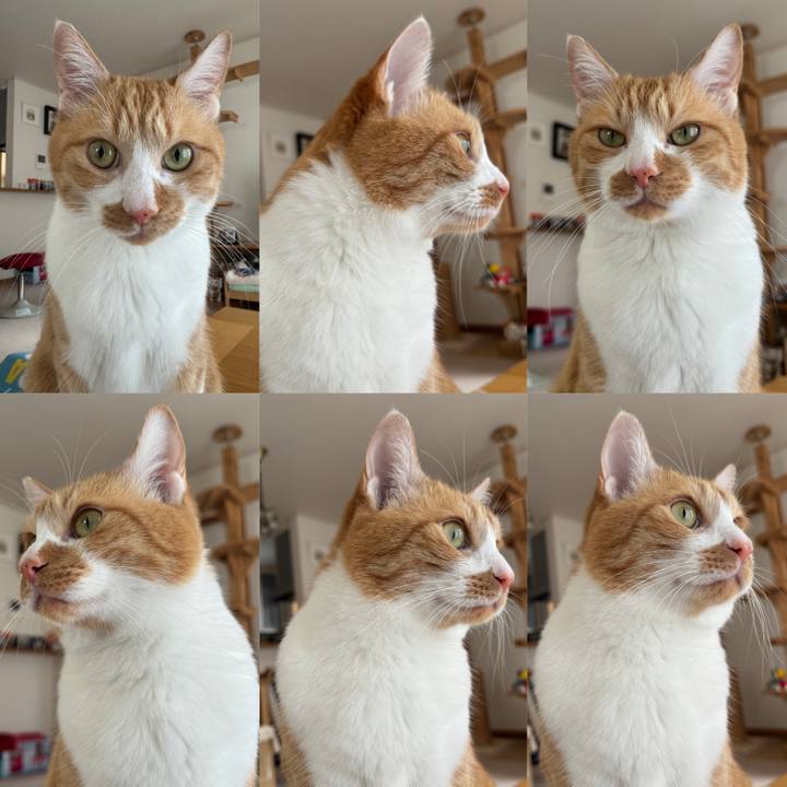 82c1c38f fec1 454f 93c5 13050900f03a 1763881407546