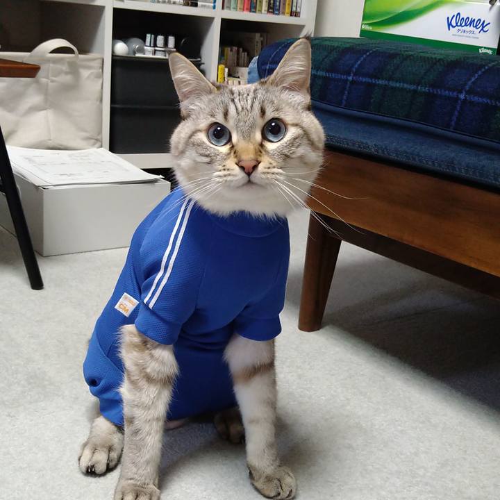 82c1f127 8c9b 44eb 8da3 dc5964f94080 1673954529334