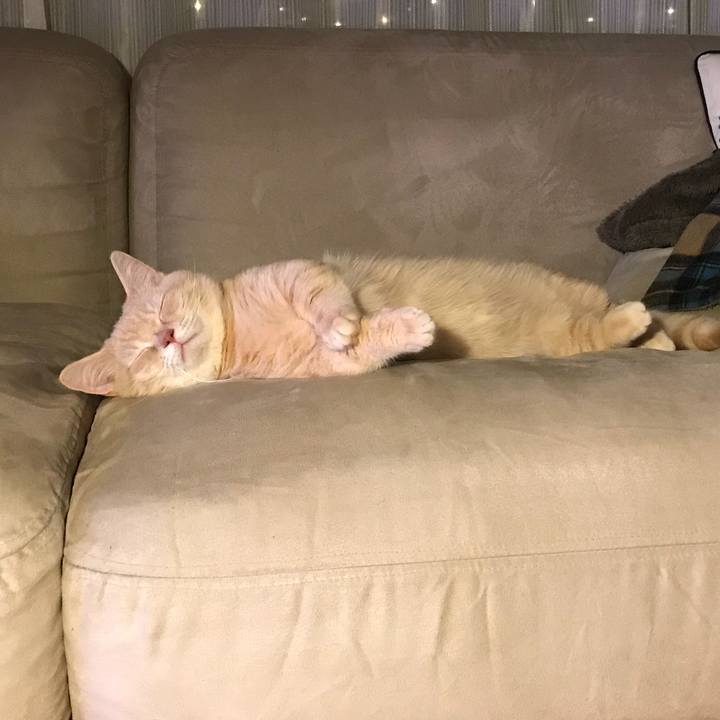 82c1f675 c2b3 4eb5 acff 58a1648d8b84 1523366024869