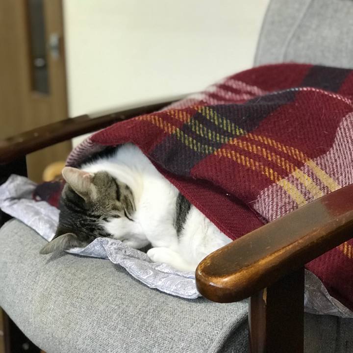 82c22192 e009 4ad7 acc0 f82ebdb34efe 1552957840575