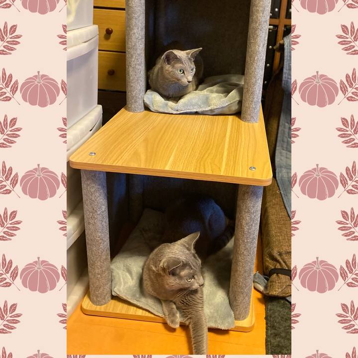 82c2220a 1030 431a a1ae ef1f0853d0d7 1694994163794