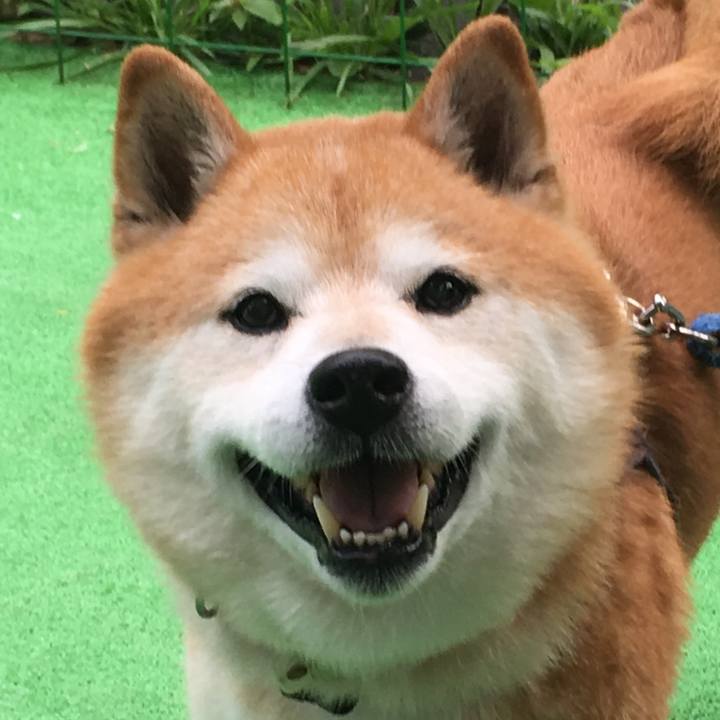 82c227a9 975a 455f bd1d aeac9e4c7cde 1534926222378