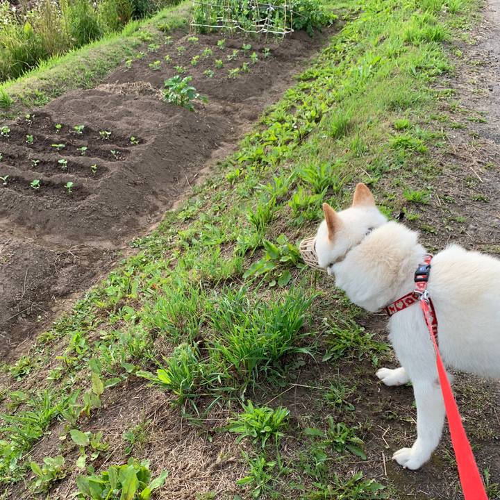 82c2c2c6 936b 459c a048 7f3b60b4a2ef 1561584901335