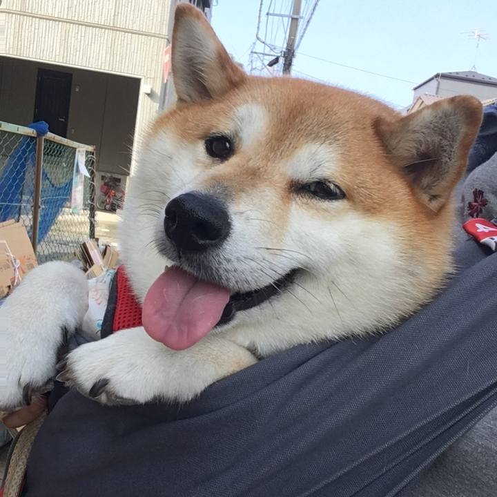 82c2d13f d4f6 4361 87c0 45519ebee3e1 1596671814326