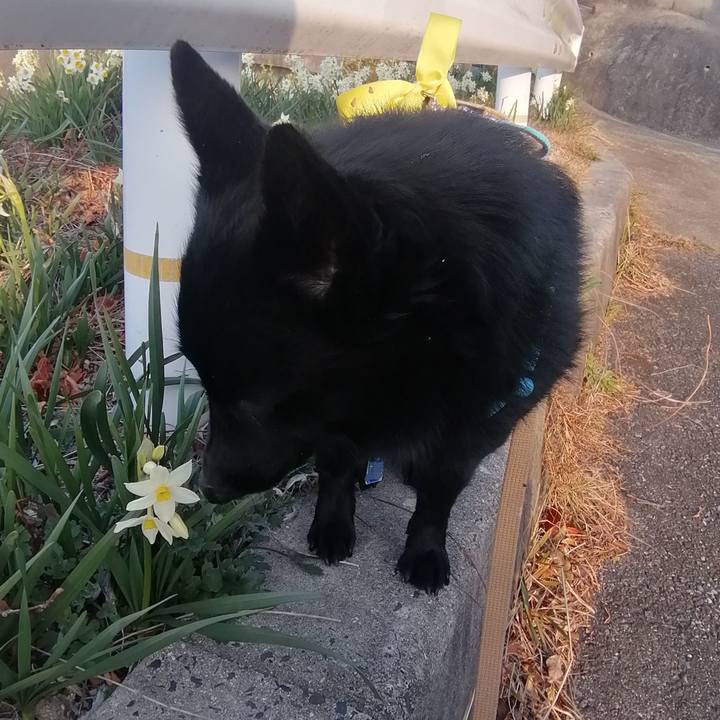 82c2d6bc 2229 4051 bdf9 d72025cad60c 1646863809240