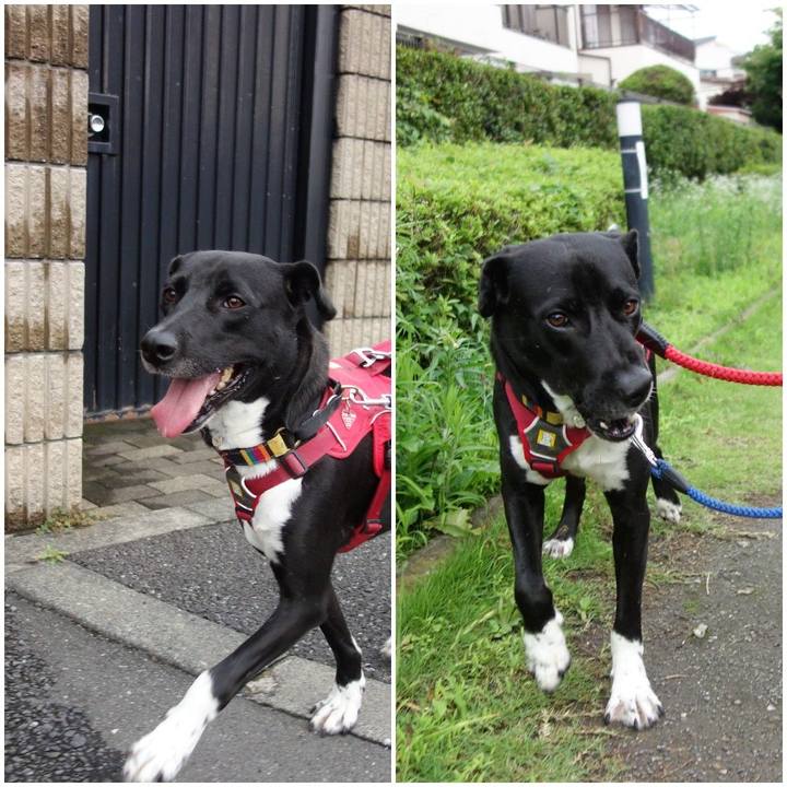 82c2d7e3 0885 48c7 842c 5669dd88290a 1593338174504