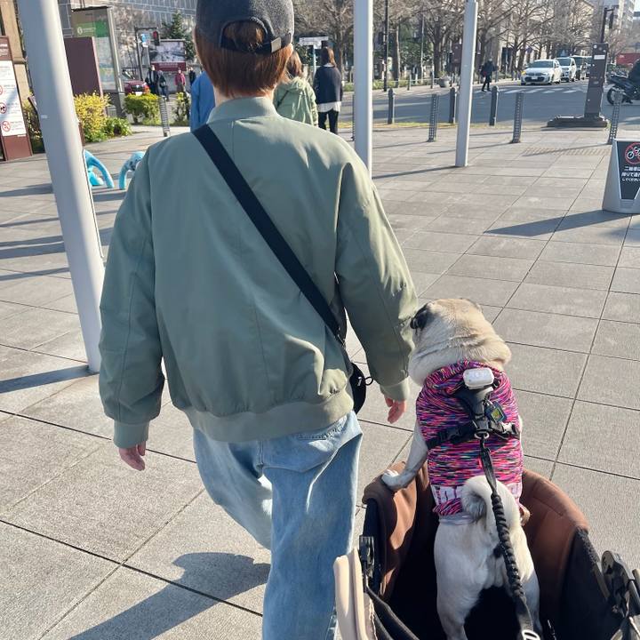 82c300d0 47c7 4a84 b30a a6efa12da232 1774512775170