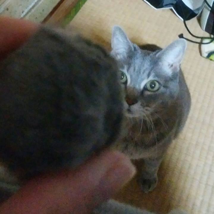 82c3192e efa5 4400 980c d21e9a04327d 1520294938750