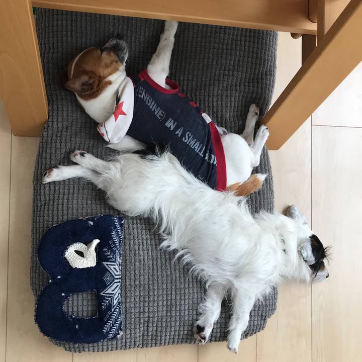 82c33df8 6268 49f6 8530 5ff6dfc418a4 1524800369978