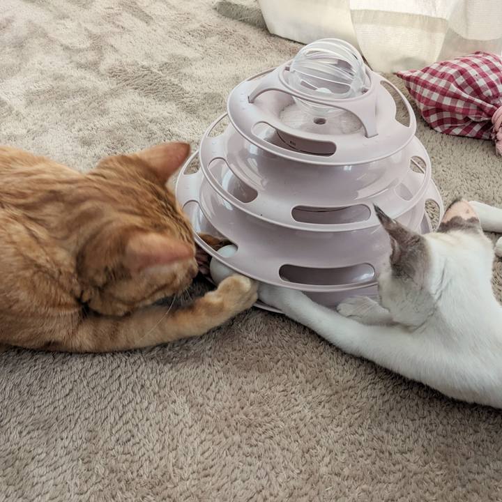 82c35774 c43a 4be5 84eb 257cf32f5ea9 1689923240517