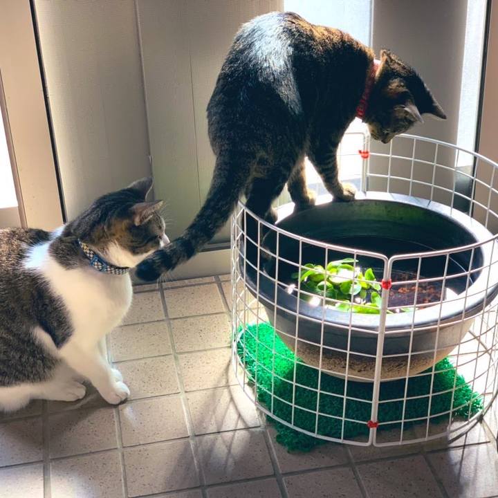 82c35cc8 3cbf 47e3 b3b8 ffd65f1c75f0 1573179625337