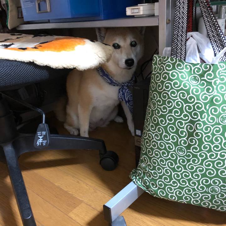 82c40f3d a252 47f4 b202 1f8ff6943ab2 1598002500370