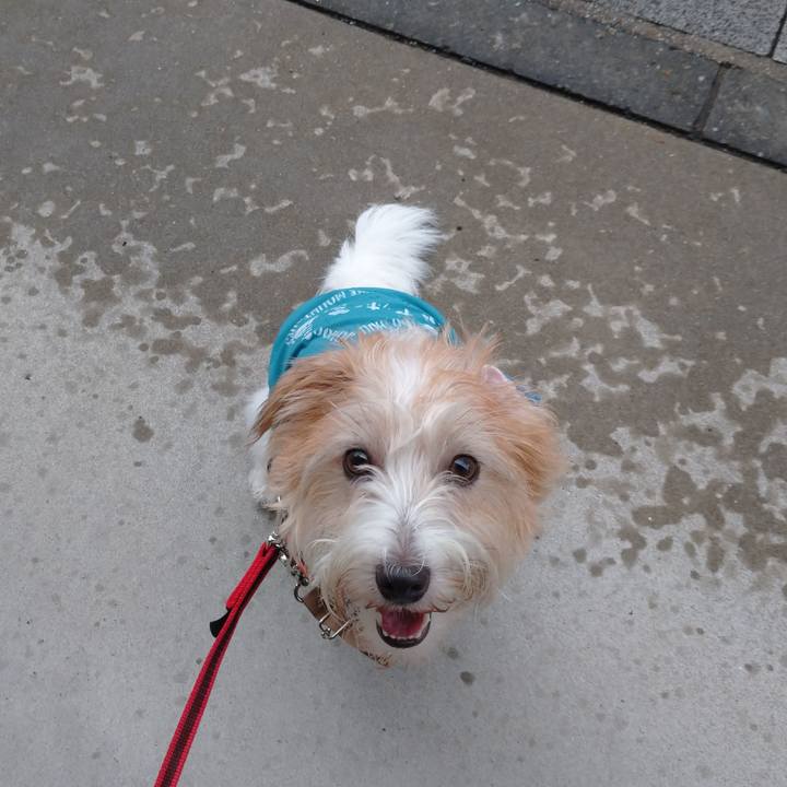 82c44b35 aeb1 4288 aac3 80bf5500467b 1757718425418