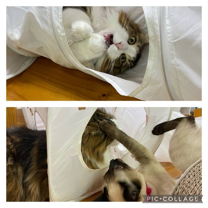 82c487df 21bd 420d b18f 87cb13ae572a 1705699222415