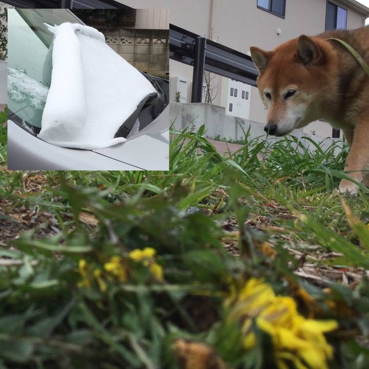 82c4b47a 17ac 4235 ae74 8760b7c7a6ba 1585529850291