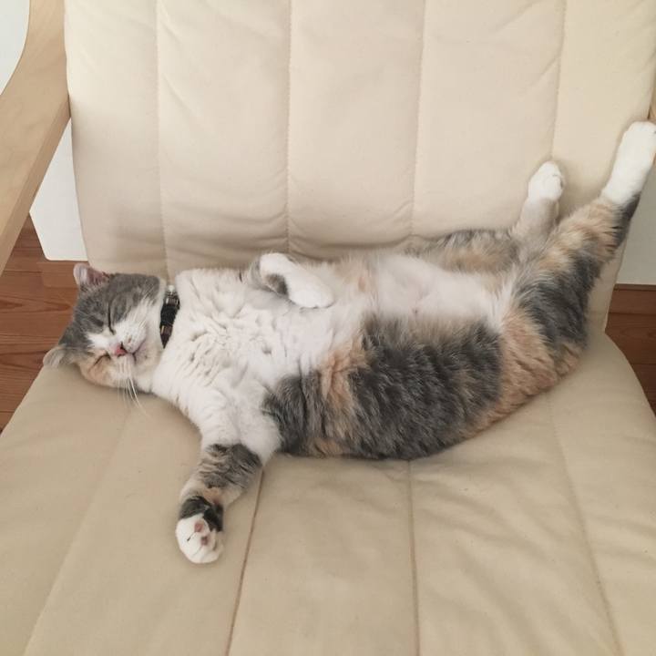 82c4e6de 6224 422f a1db 71e9956934a2 1537791856130