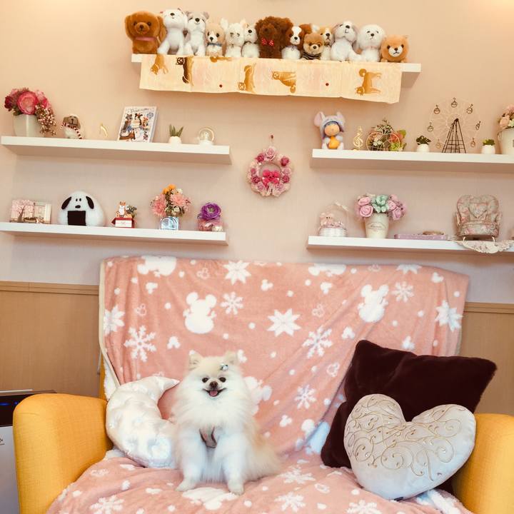 82c4f0f8 b369 433c a955 1ca4b7e9bfaa 1581569392338