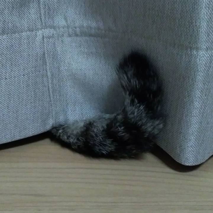 82c4f65c 3f9b 4d2b 993a cc95349dfd0b 1521114750526