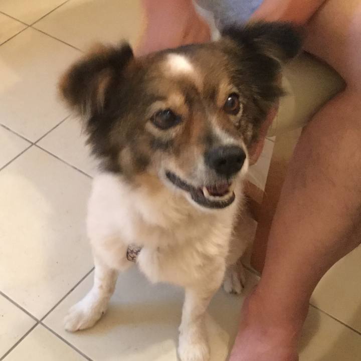 82c501ed b327 4387 b1ab cf7a9fc992dd 1563198248202