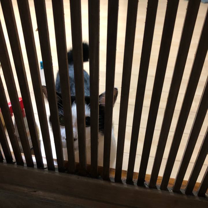 82c50e53 92ee 4182 807e 0704cc2e4fe6 1569842349135