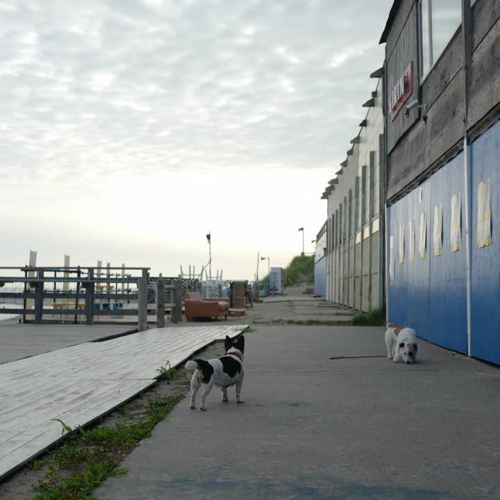 82c554bf e4e6 4b0b 8a9e 451093674d3d 1531536623425