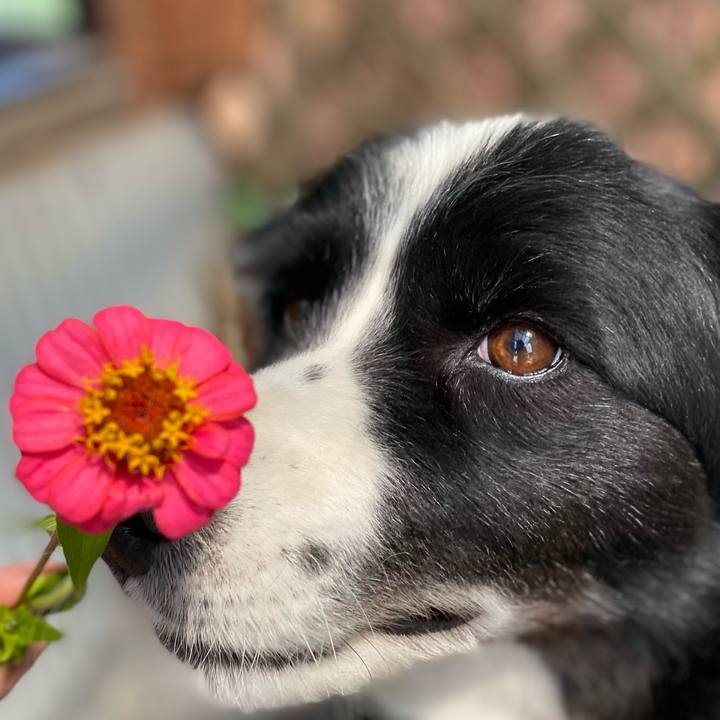 82c575b2 b24b 4497 a4fd c18fbdcaf19c 1620265257471