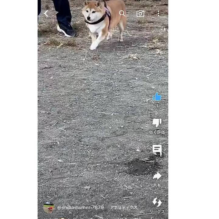 82c58b31 35e1 477a bc72 c6cd16be1443 1677886755916