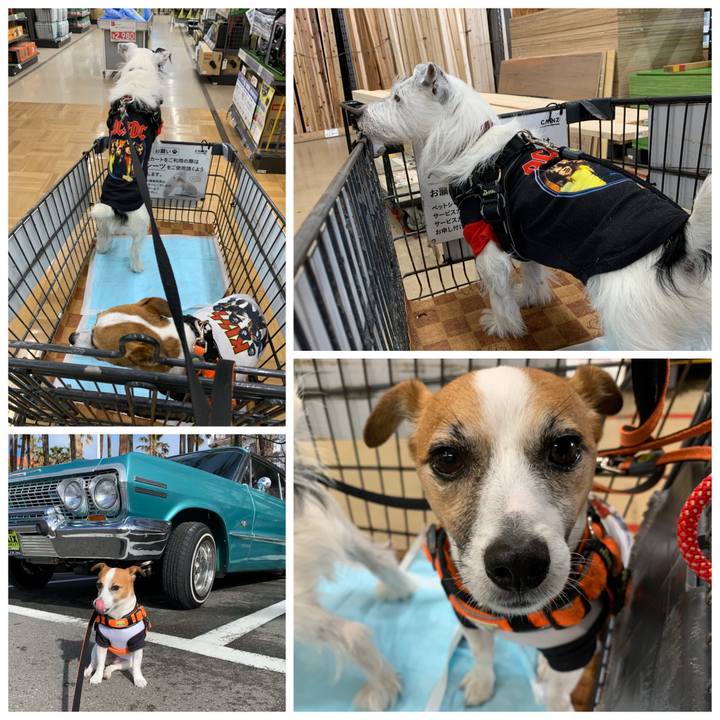 82c5a9f6 dea5 4ad7 ad37 00720dccd1e2 1574570556832