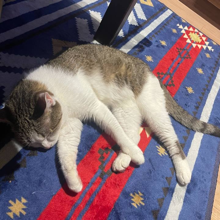 82c5f133 522b 450c bdeb a82563baa344 1626526431980