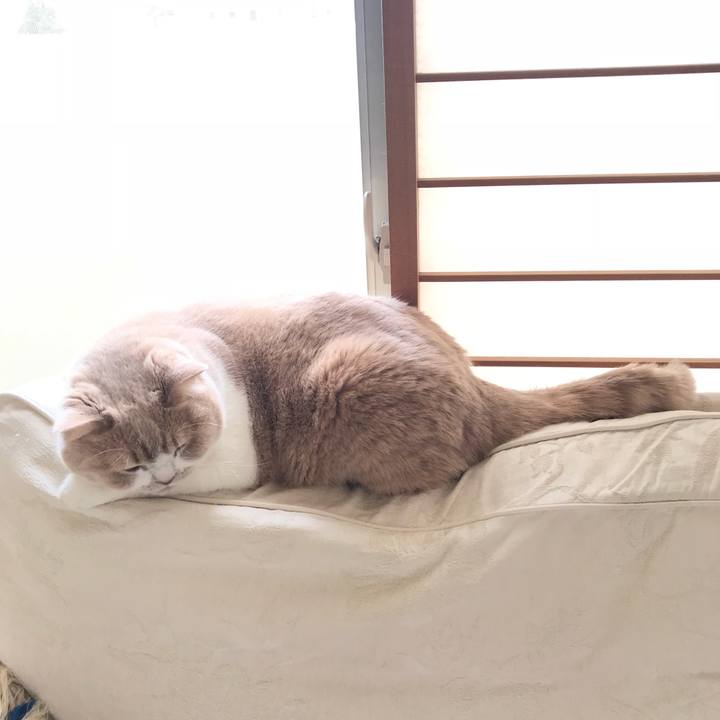 82c631e2 34d8 4e0b 84e4 ea04860611bf 1519265078583