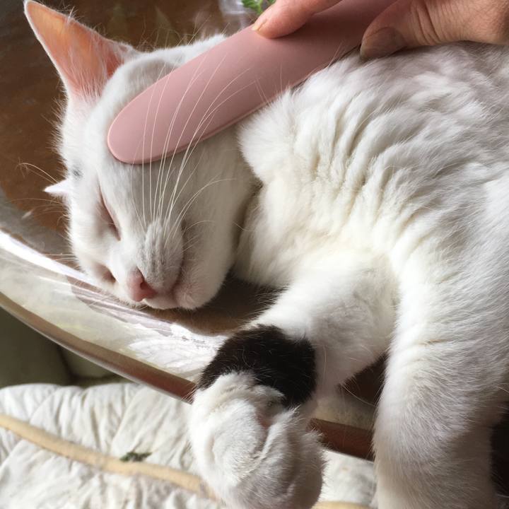 82c63233 5357 4dc8 8c9a 663decda5e88 1564128832672