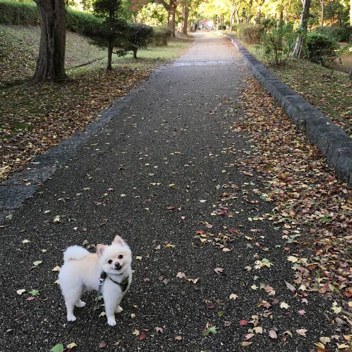 82c6383b 7d4e 431c 921d 292d594370c5 1541852858131