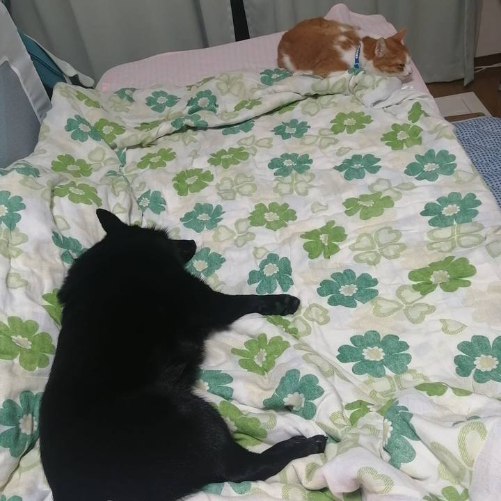 82c65144 a3b4 4355 84bd 876e87d3ac87 1622724429281