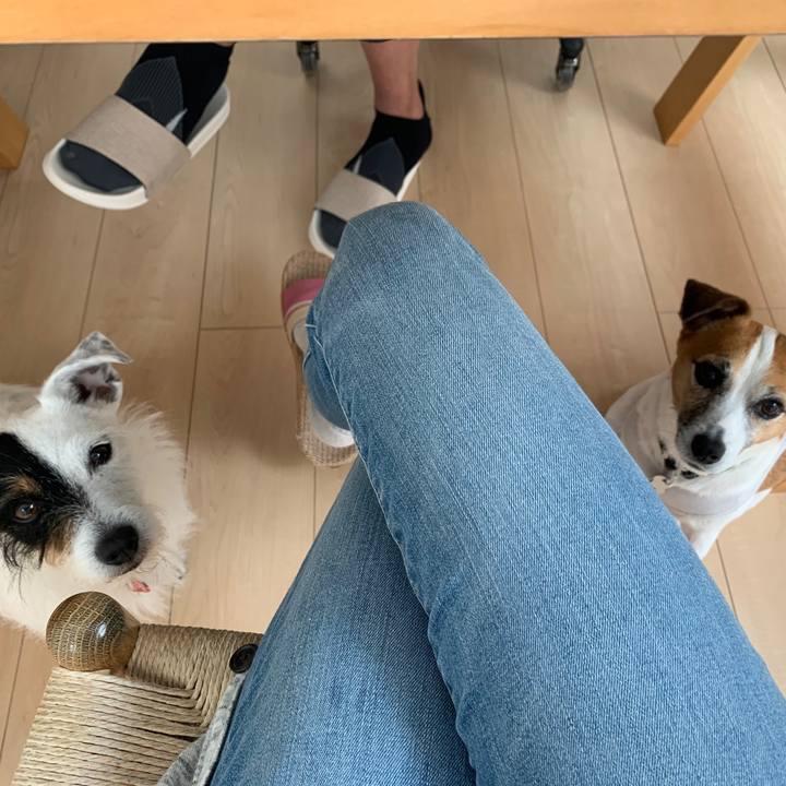 82c655f1 7112 44e7 b9d1 a193758c523e 1588980127310