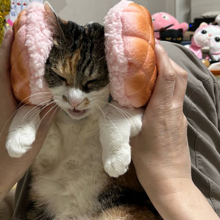 82c65794 c6d0 4b07 a701 83579975ac73 1763414707769