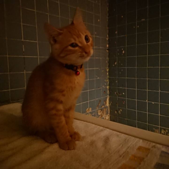 82c690c3 7174 42c9 9cd0 68e79ea08856 1632564299130